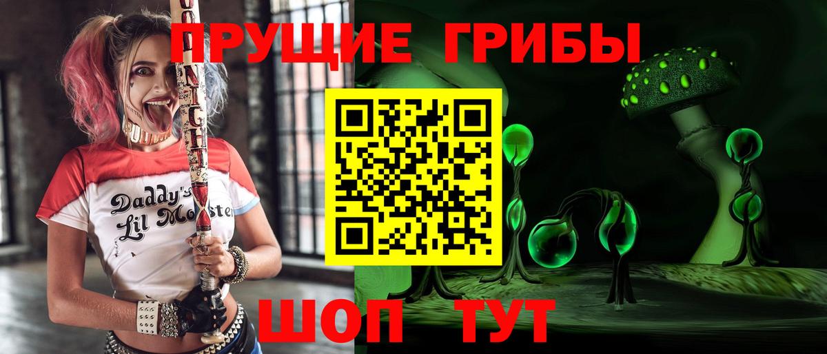 Кольчугино  Псилоцибиновые грибы мухоморы  Вход с VPN 
